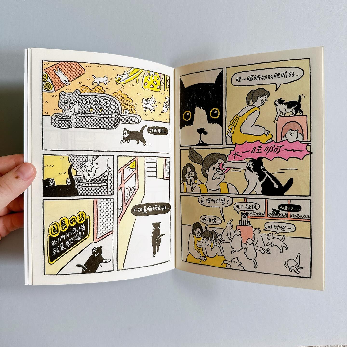 Zine《姆姆幼稚園》5